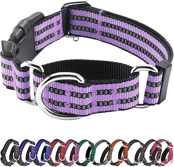 Hikiko Martingale Dog Collars Reflective Nylon Dog Collar with Quick Release Buckle Adjustable Training No Slip Dog Collar (Small, Lavender)