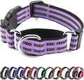 Hikiko Martingale Dog Collars Reflective Nylon Dog Collar with Quick Release Buckle Adjustable Training No Slip Dog Collar (Medium, Lavender)