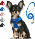 PetiFine Step in Small Dog Harness and Leash Set, Breathable All Weather Air Mesh Reflective Escape Proof, Step-in Vest Harnesses for Puppy(XS, Baby Blue)