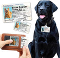 PawFurEver Personalized Dog Driver License ID Tag for Dogs & Cats - Custom Pet License Dog ID Tags Personalized Heavy Duty with Name, Photo & Phone Number, 50 States + DC (California, Wallet Card)