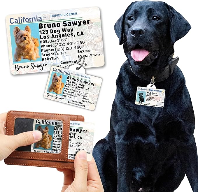 PawFurEver Personalized Dog Driver License ID Tag for Dogs & Cats - Custom Pet License Dog ID Tags Personalized Heavy Duty with Name, Photo & Phone Number, 50 States + DC (Delaware, Wallet Card)