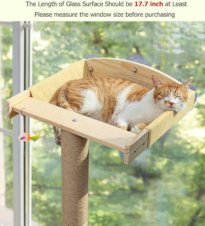 Cat Window Perch with Tall Scratching Posts, Inside 46" Climbing Tree Hammmock Mounted with Suction Cups for Sleeping,Playing and Watching Birds