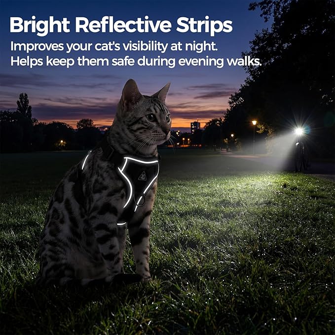 Cat Harness and Leash Set Escape Proof Tactical Extra Large Kitten Harness Emotional Support Cat Vest, Black, XXL