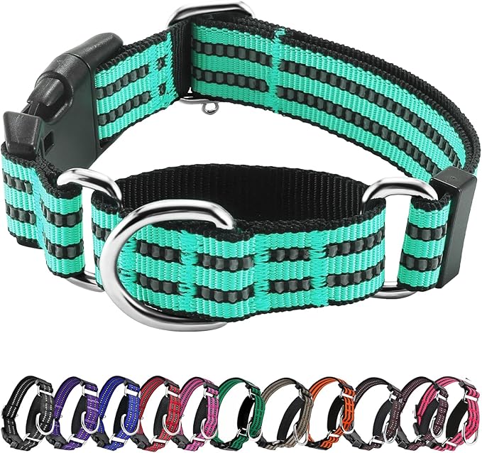 Hikiko Martingale Dog Collars Reflective Nylon Dog Collar with Quick Release Buckle Adjustable Training No Slip Dog Collar (Medium, Turquoise)