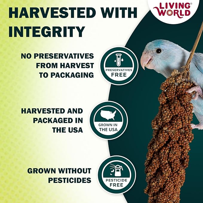 Living World - Millet Spray for Birds, 3.5 Oz – Premium Treat for Budgies, Canaries, Finches, Cockatiels and Other Pet Birds