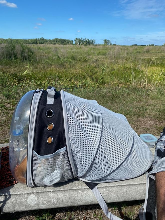 Back Expandable Cat Backpack Carrier, Fit up to 12 lbs, Space Capsule Bubble Window Pet Carrier Backpack to Carry and Transport Cat Bunny Small Puppy