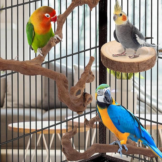 Parrot Perch Bird Perch Stand Set Natural Wild Wood Grape Sticks Paw Grinding Fork Parakeet Climbing Standing Branches Toys Cage Accessories for Conure,Cockatiels Lovebirds,Budgies Chewable 6PC