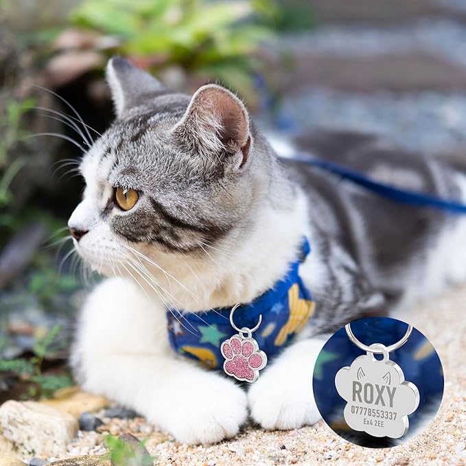 EDSG Cat Dog Tags Personalized for Pets, Dog Name Tags Cat Name ID Tag, Engraved Dog Tags Dog ID Tags Small Glitter Bling ID Tag Paw Print for Cat Pet Dog Puppy(Silver,Design 3)
