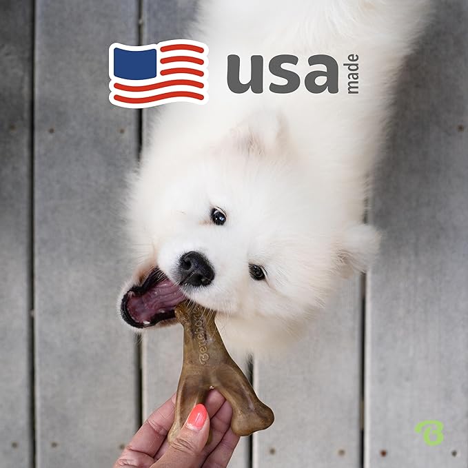 Benebone Wishbone Durable Dog Chew Toy for Aggressive Chewers, Real Bacon, Made in USA, Tiny