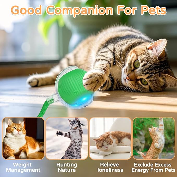2025 New 1Pack Cat Ball Kitten Toys for Indoor Interactive Kitty Ball Toy Speedy Tail 360° Automatic Rolling(Green)