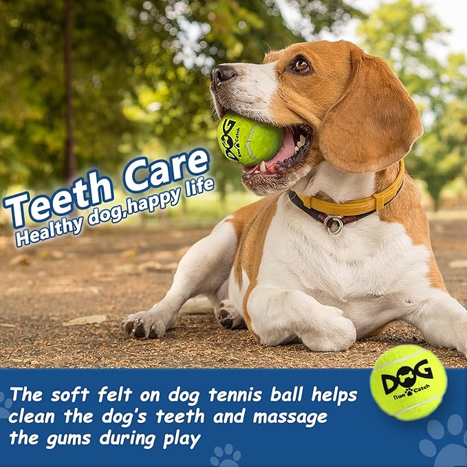 Tennis Balls for Dogs - 12 Pack 2.0'' Durable Non-Toxic Outdoor Dog Toys Balls with Mesh Bag, SGS Certified, Colorful Fetch Toys, Small Breeds (Non Squeaky)