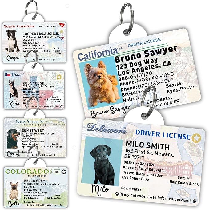 PawFurEver Personalized Dog Driver License ID Tag for Dogs & Cats - Custom Pet License Dog ID Tags Personalized Heavy Duty with Name, Photo & Phone Number, 50 States + DC (Missouri, Tag)