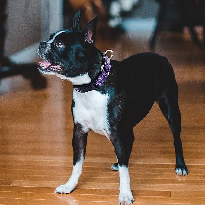 Hikiko Martingale Collar for Dogs Reflective Nylon Dog Collar with Quick Release Buckle Adjustable Training No Slip Dog Collar (Large, Purple)