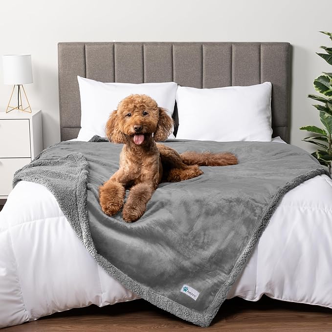 PetAmi Waterproof Dog Blanket for Medium Large Dog Puppy Cat Throw for Couch Cover Leakproof Protection, Sherpa Fleece, Reversible Soft Washable 60x40 Light Gray
