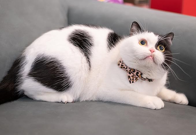 Collar for Cat Pet Breakaway with Bell Bowtie Detachable Bow Adjustable Safety Kitten Puppy Girl Boy 2pcs Beige Leopard & Pure