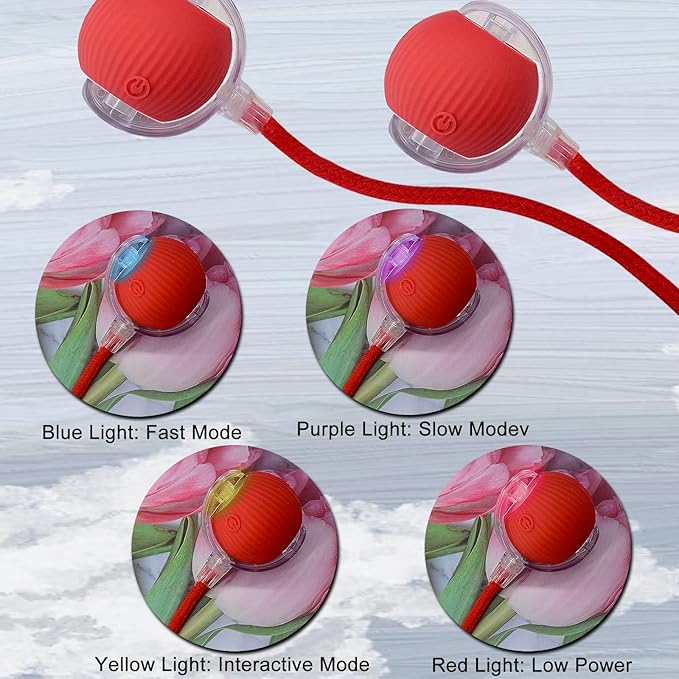 Interactive Cat Dog Toy Ball: Indoor Small Automatic Moving Smart Rolling Fun Pet Game with Led Light and String Tail for Motion Activated, Cute Kitten Puppy Present, Exercise Wheel Supplies (Red)