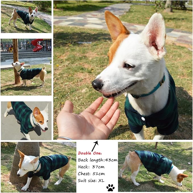 Koneseve Dog Shirt Pet Plaid Clothes T-Shirts Sweater Bottoming Shirt for Small Dog Cat Puppy Grid Adorable Wearing Stylish Cozy Halloween,Christmas Costumes (Green;XL/Extra Large)