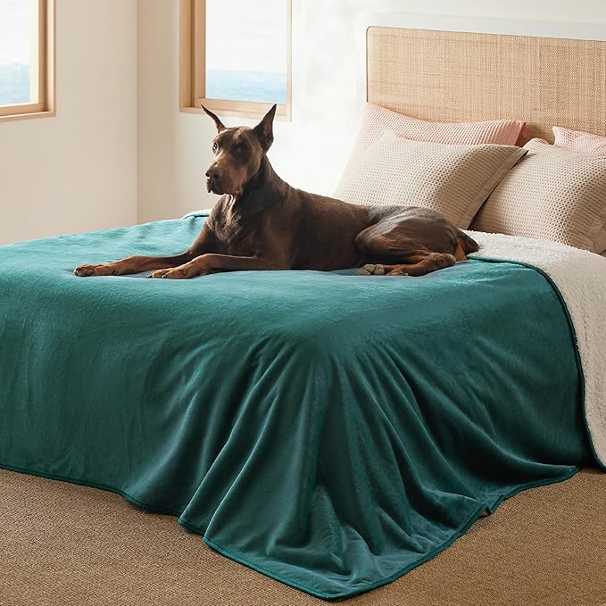 Bedsure Waterproof Blanket for Bed - Sherpa Fleece Waterproof Dog Blankets for Large Dogs, Pet Blankets for Bed/Couch/Dog Crate, Soft Plush Reversible Furniture Protector, King Size, 108"x86", Green