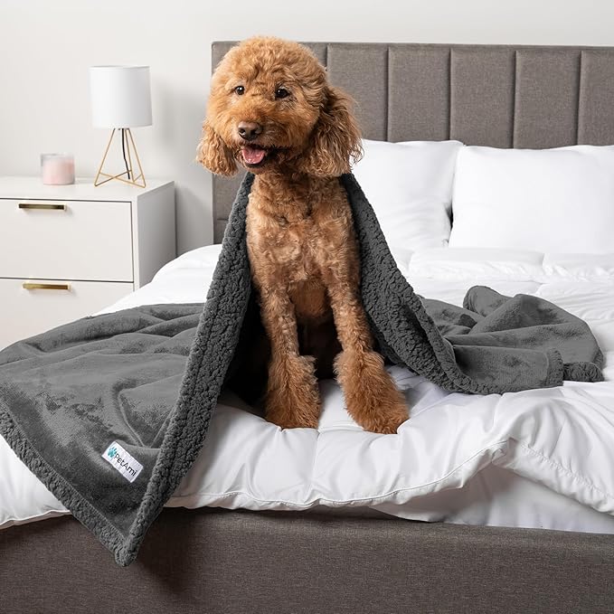 PetAmi Waterproof Dog Blanket for Medium Large Dog Puppy Cat Throw for Couch Cover Leakproof Protection, Sherpa Fleece, Reversible Soft Washable 60x40 Gray Gray