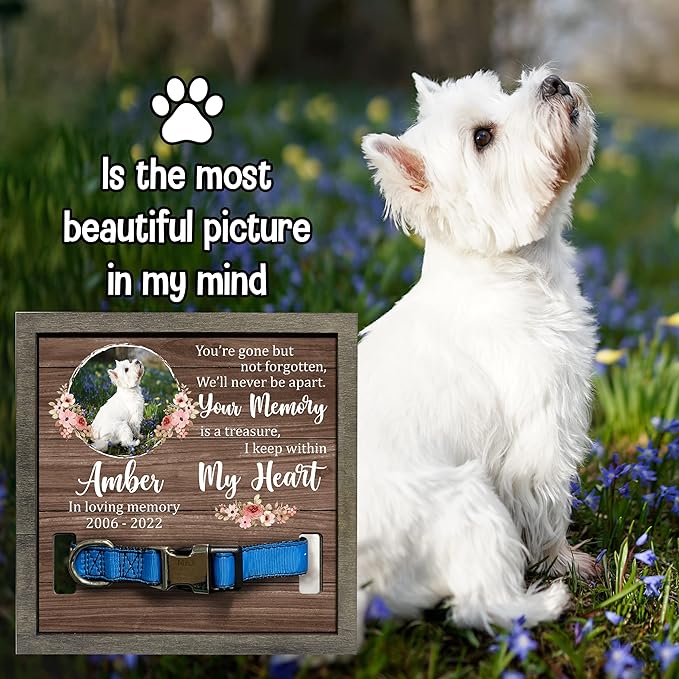 Personalized Pet Loss Gifts Dog Picture Collar Frame Pet Remembrance Memorial Memorial Frames for Pictures Sympathy Gifts Keepsake BereavementFunerary Decor Wall