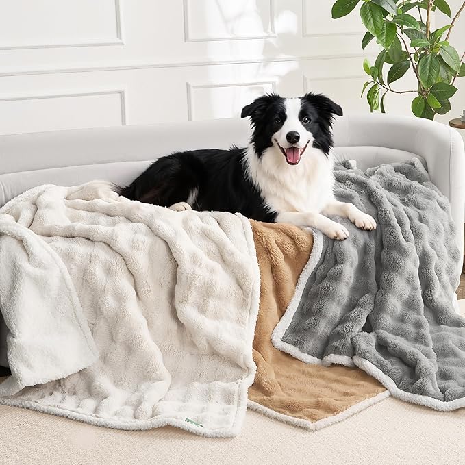 Soft Cozy Waterproof Twin Blanket for Bed Intimacy - Room Decor Large Dog Blankets for Bed Protector, Washable Pet Blankets for Indoors & Outdoors, Grey, 60"x80"
