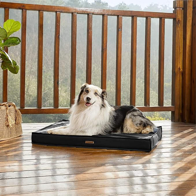 LE SURE Outdoor Waterproof Dog Bed for Large Dogs, Orthopedic Egg Crate Foam Pet Bed with Oxford Fabric Surface and Removable and Durable Cover, Machine Washable, 36''x27'', Black