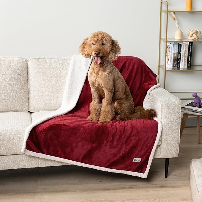 PetAmi Waterproof Dog Blanket for Small Medium Dog Puppy Cat Throw for Couch Cover Leakproof Protection, Sherpa Fleece, Reversible Soft Washable 29x40 Wine Red
