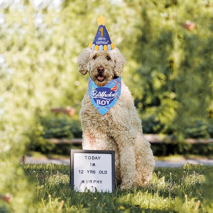 ADOGGYGO Dog Birthday Party Supplies, Blue Birthday Boy Bandana, Bowtie, Numbers, Party Hat for for Medium Large Dogs (Large)