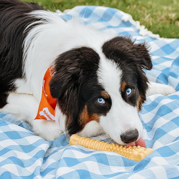 Nylabone Power Chew Textured Knuckle Bone - Dog Toys for Aggressive Chewers - Peanut Butter Chew Toy - Large Dog Chew Toys - Peanut Butter Flavor, X-Large - Over 50 Ibs. (1 Count)