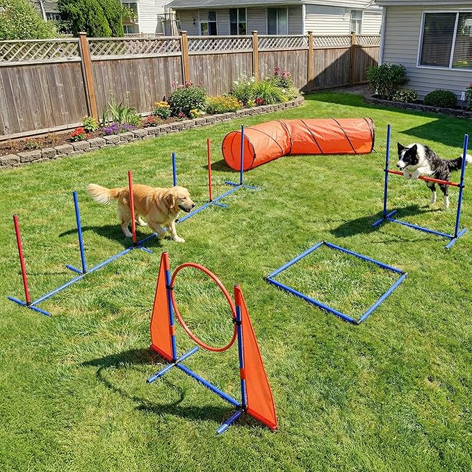 YITAHOME Dog Agility Training Equipment Set with Flexible Tunnel, Hurdle, Jump Ring, 6 Weave Poles, Pause Platform, Teaser Pole and Carry Bags for Indoors Outdoors, Orange/Blue