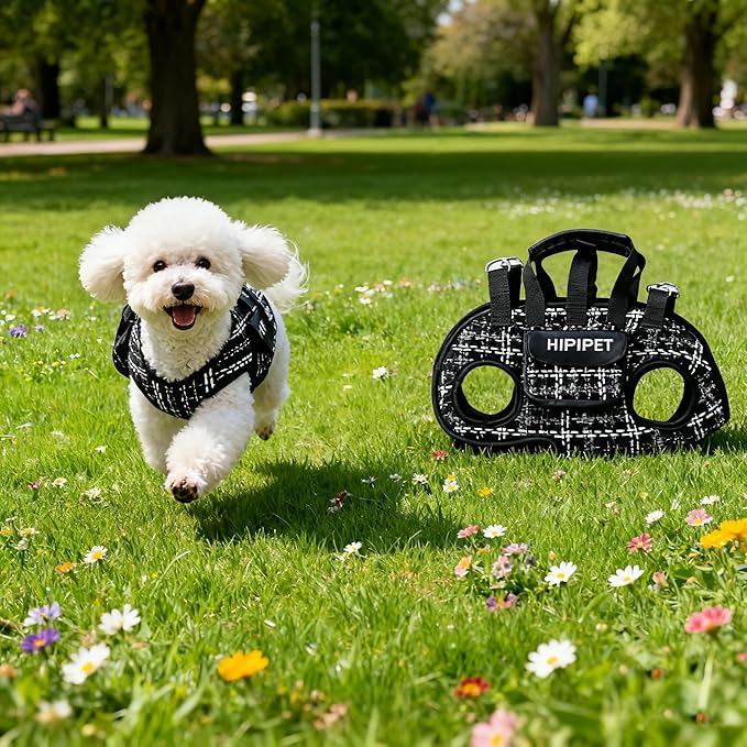 Dog Lift Harness Dog Carrier Adjustable Breathable Vest Straps for Small Medium Pet Treat Bag Fashion Outdoor Hiking (Black XL 19-25lb)