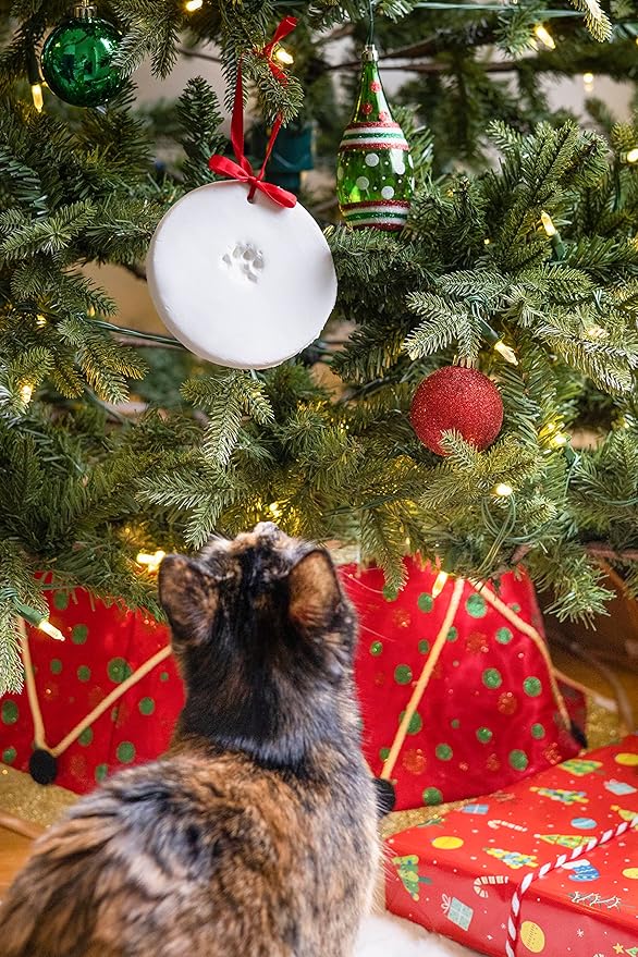 Pearhead Pawprints 2-Pack Christmas Ornament, DIY No Mess Pet Paw Print Holiday Clay Keepsake Kit, Dog or Cat Stocking Stuffer Gift