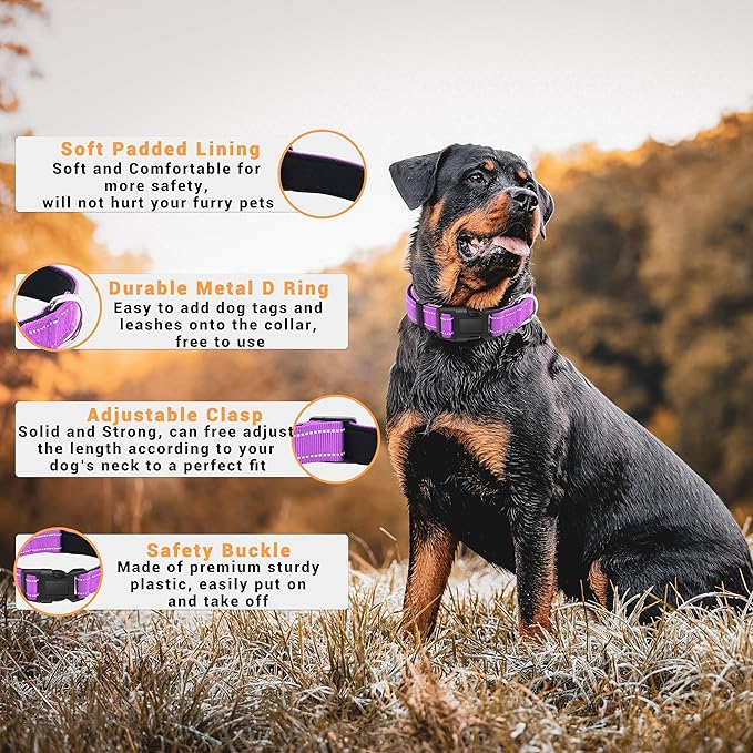 2 Pack Reflective Dog Collar with Safety Locking Buckle, Adjustable Soft Breathable Comfortable Nylon Pet Collar for Small, Medium and Large Dogs, Rosered, M
