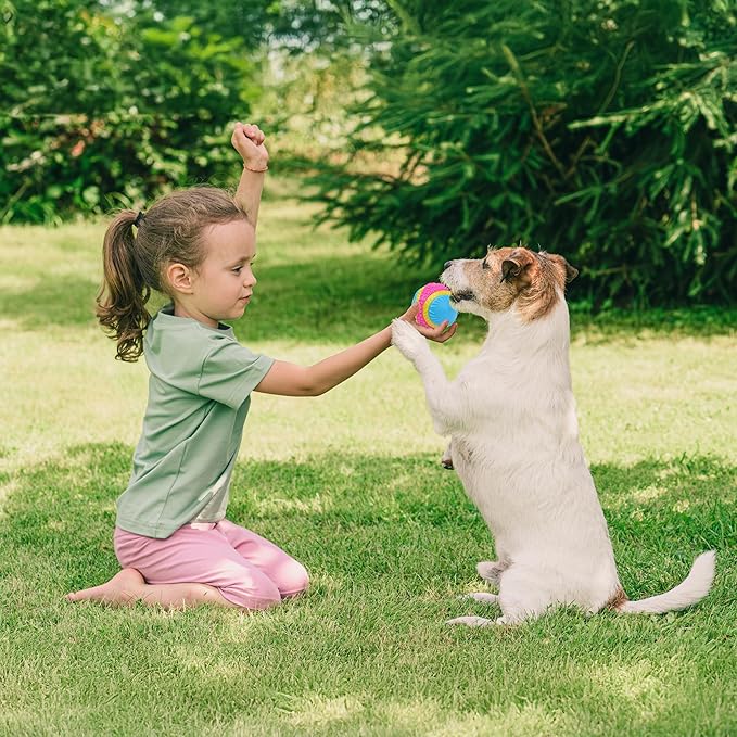 SPOT Sensory Ball for Soft Chewers - Stimulates All 5 Senses, Bell & Squeaker Sounds, Raised Nubs Clean Teeth, High Contrast Fetch Toy, Beef Scented, Durable TPR Rubber Ball, 2.5-inch