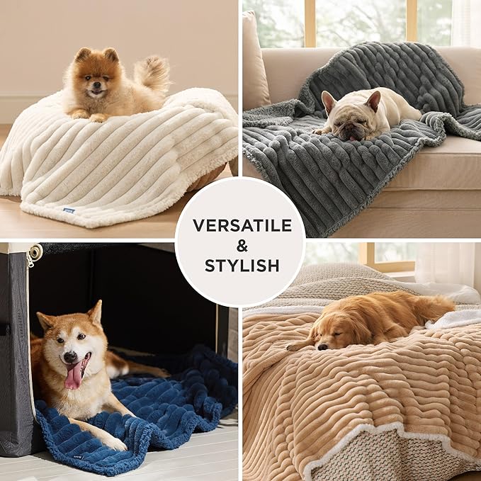 Bedsure ComfyFleece™ Waterproof Dog Blankets for Small Dogs - Soft Puppy Cat Blanket Corduroy Fleece Washable, Cozy Calming Reversible Furniture Protection for Pet Kitten Doggy,25"x35", Cream